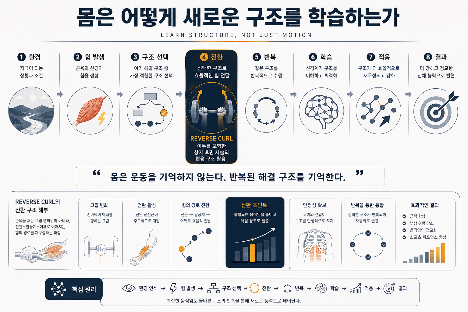 몸은 어떻게 새로운 구조를 학습하는가