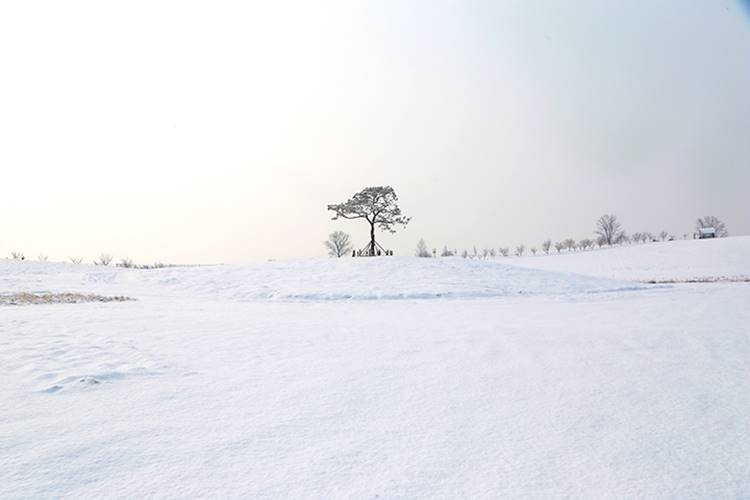 안성팜랜드 입장료 할인