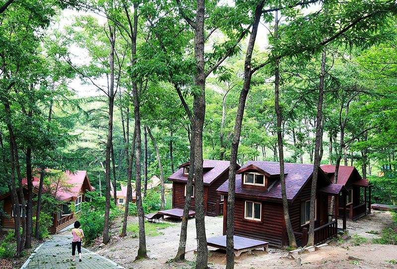 아산 영인산자연휴양림 숲속야영장 소개