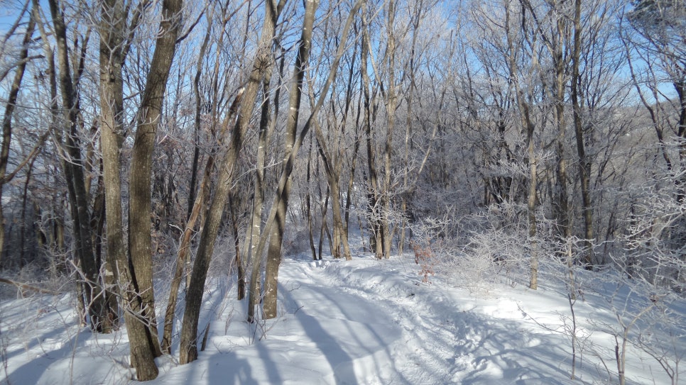 100대 명산 등산하기 평창 계방산(桂芳山, 1,577m) 설악·오대산과 함께 강원도 고산지대의 대표 명산