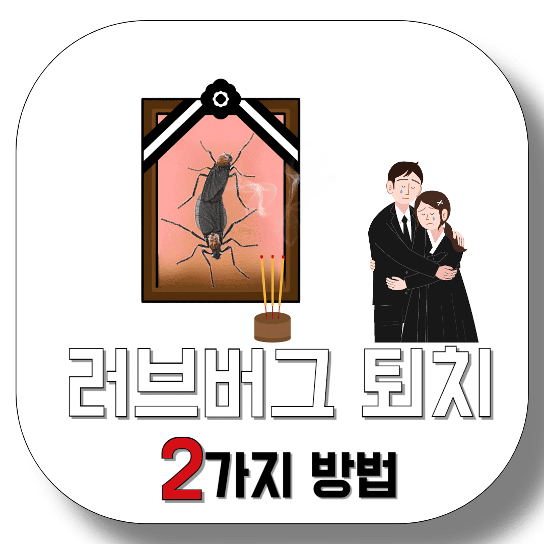 러브버그-퇴치-이-두 가지-방법을-이용하니까-벌레가-안-들어와요-썸네일