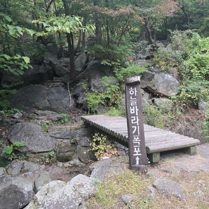 축령산자연휴양림