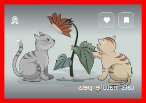 금상첨화 뜻
