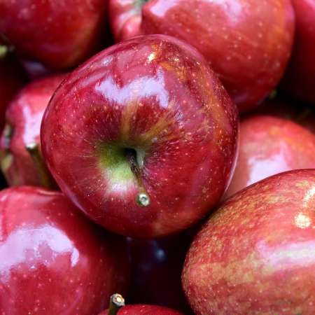 당뇨에 좋은 과일