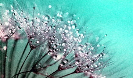 갱년기증상30가지