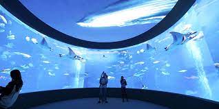 대전 가볼 만한 곳