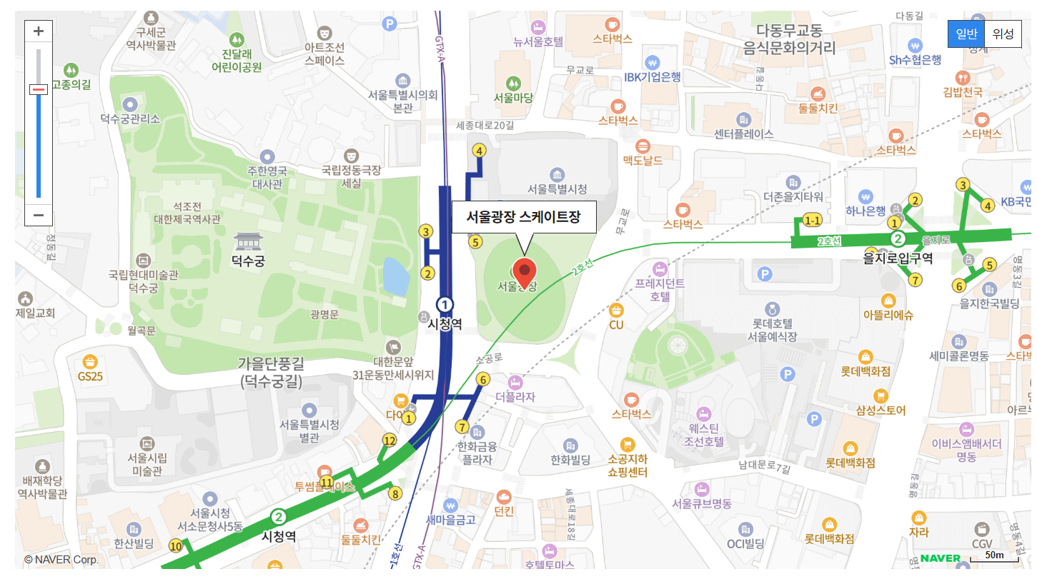 서울광장 스케이트장