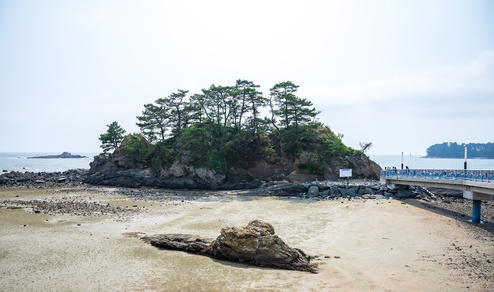 보령 가볼만한곳 (무창포해수욕장)