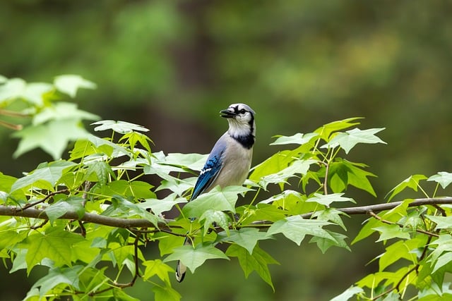 귀산촌인 창업자금 지원사업