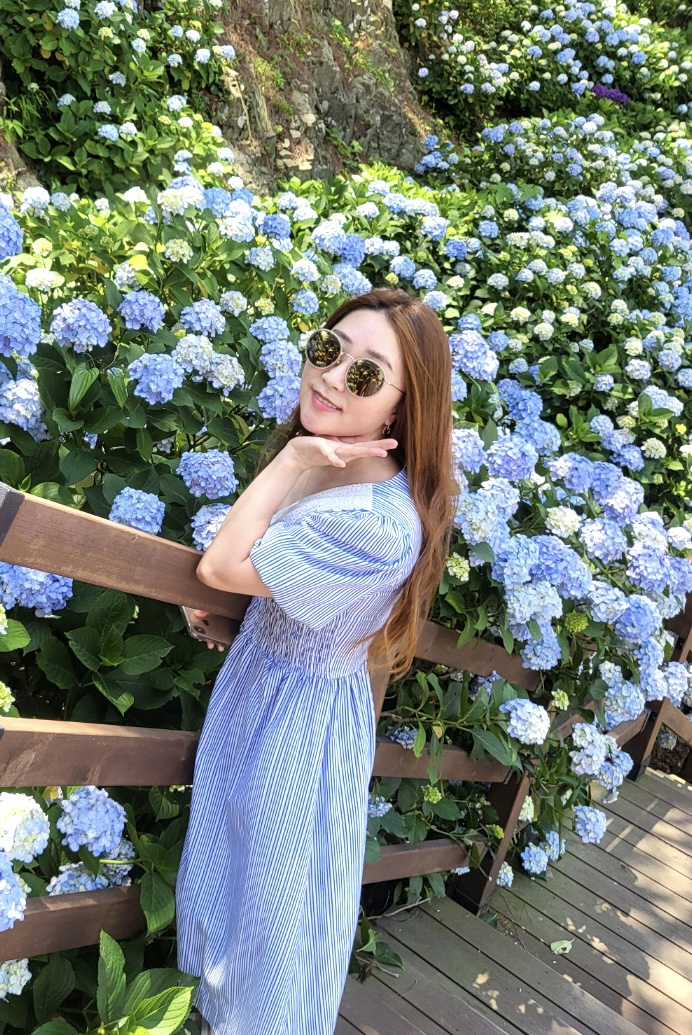 거제 수국명소 TOP7 관련 사진