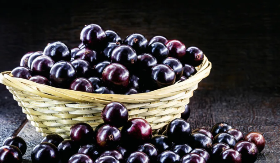 자보티카바 섭취 시 주의사항(부작용)