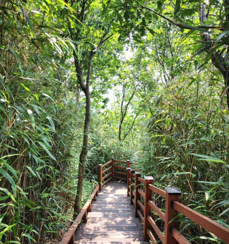 덕봉산 해안생태탐방로