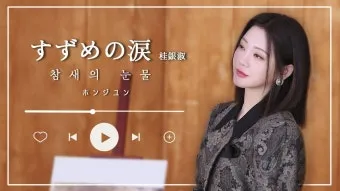 노래로배우는일본어 스즈메노나미다すずめの涙 계은숙 桂銀淑 참새의눈물 가사 독음 번역 해설 단어 엔카명곡 일본명곡으로 정리_32