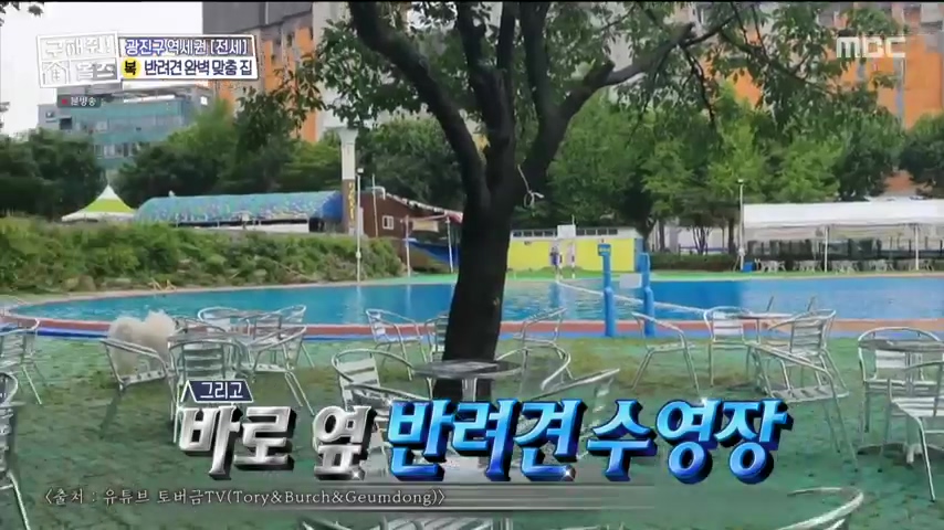 구해줘홈즈 댕댕하우스 동물병원 인접 서울시 광진구 중곡동 전세 매매 매물 가격 및 구조 인테리어 리모델링 최종선택 더보이즈 영훈 현재 소개