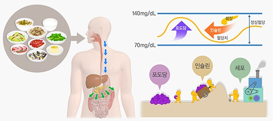 당뇨병-초기증상