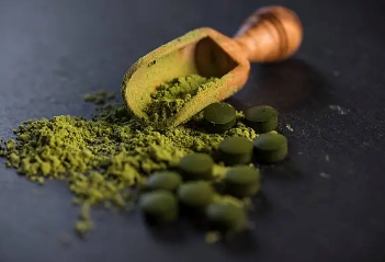 클로렐라 효능 총정리