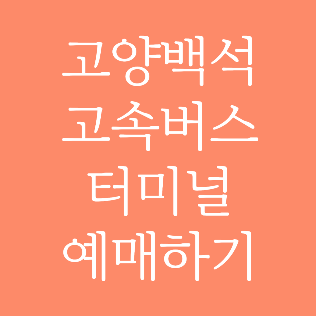 고양백석 실시간 고속버스터미널 시간표 조회 및 예매하기