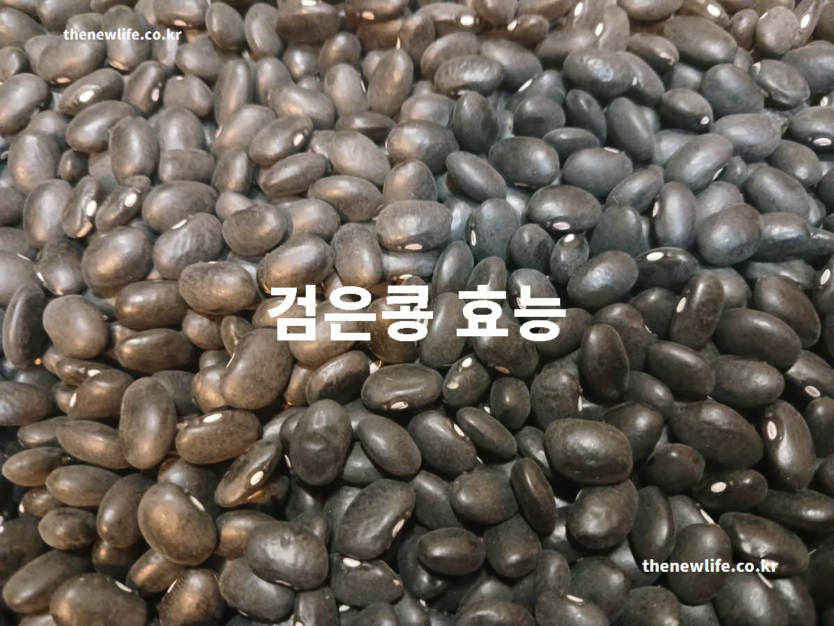 검은콩 효능 대표 실사진