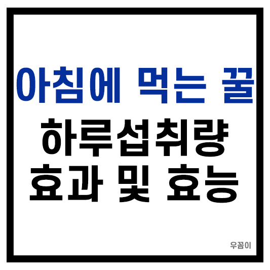 아침에 먹는 꿀 하루섭취량 효과 및 효능