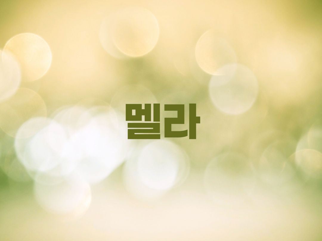 멜라 천주교 남자세례명