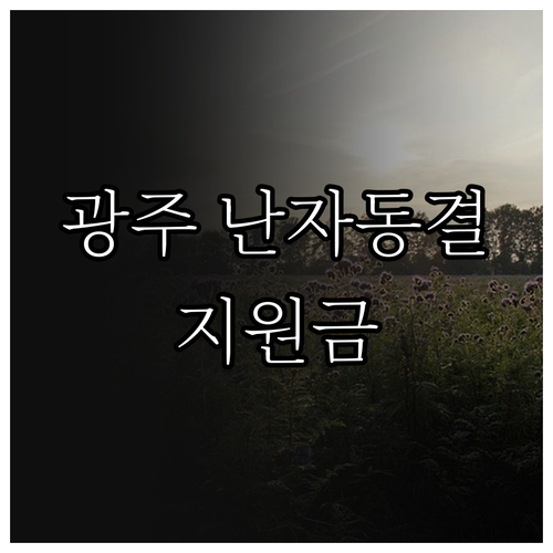 광주광역시 난자동결 시술비 지원: 2..