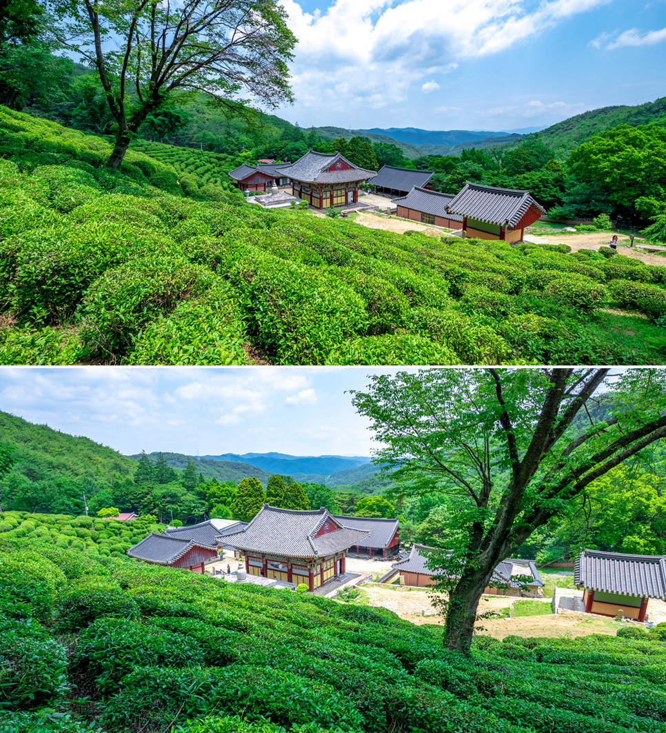 경남 사천 가볼만한곳 (다솔사)