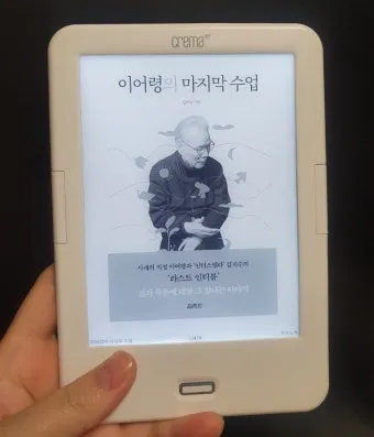 마지막 수업 알퐁스 도데 줄거리 명작 리뷰_18