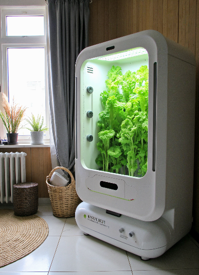 스마트팜의 일상화: 개인 맞춤형 도시 농업의 시대(Personalized Smart Farm Era)