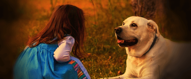 대형-강아지와-아이가-마주보고있는-사진