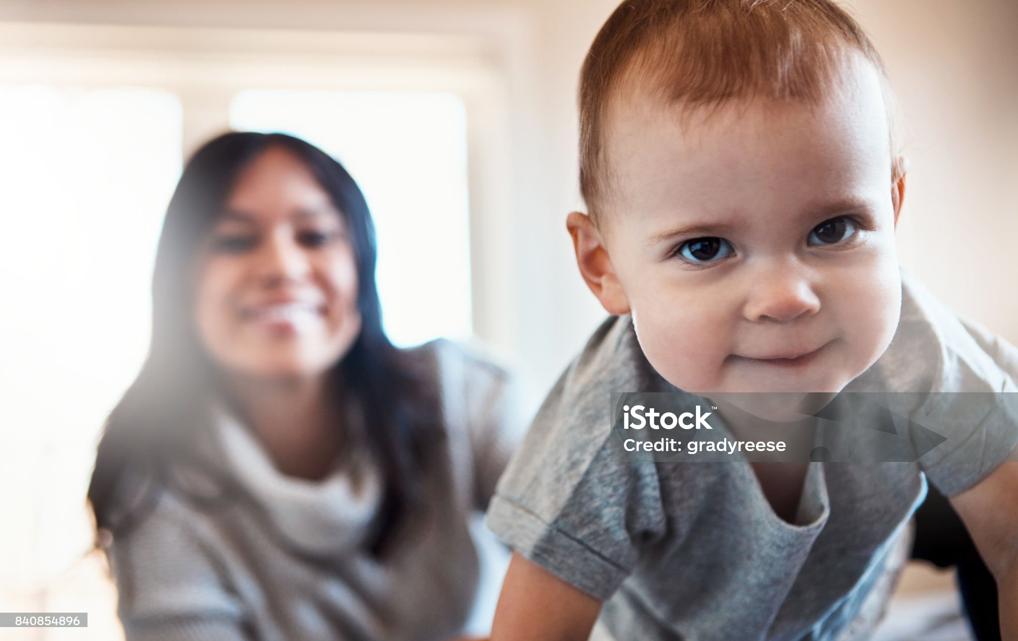 고집 시작 시기