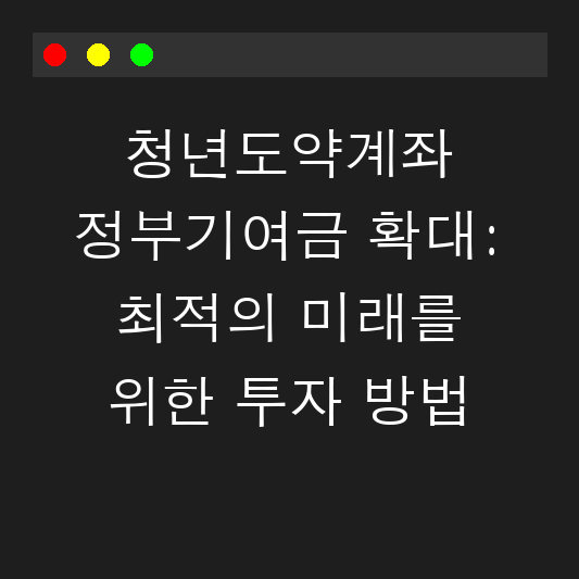 청년도약계좌 정부기여금 확대: 최적의 미래를 위한 투자 방법 대표 이미지