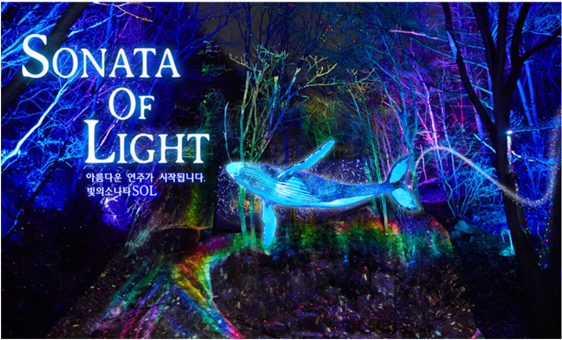 겨울여행 크리스마스여행 빛축제 오크밸리 소나타 오브 라이트