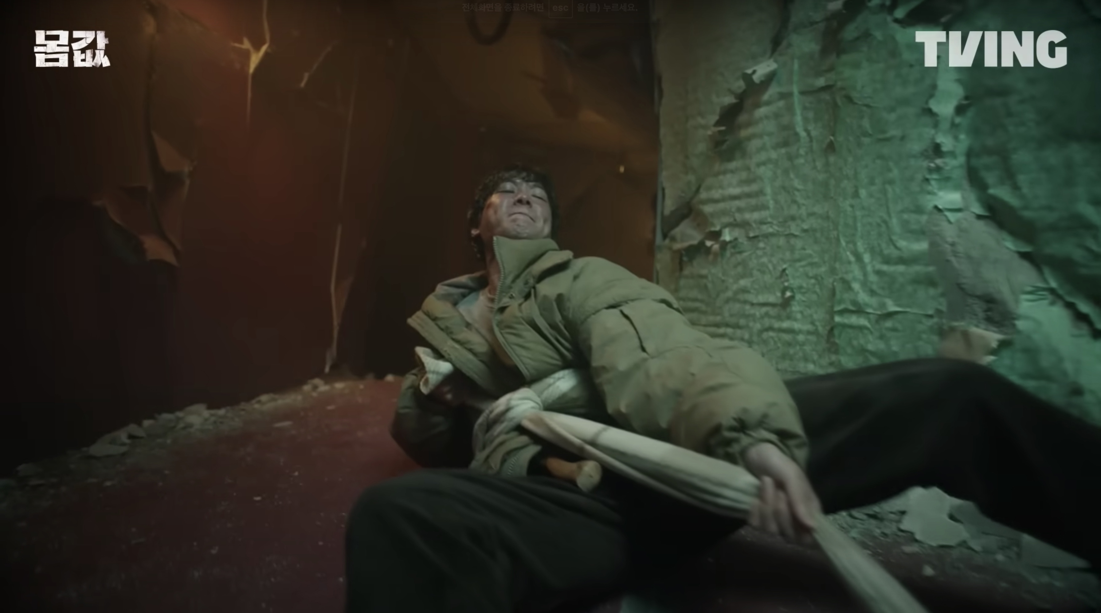 몸값 영화 드라마 티빙 몇부작 원작 총정리