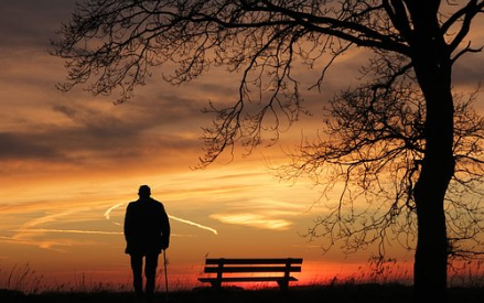 요양보호사 자격증 국비지원