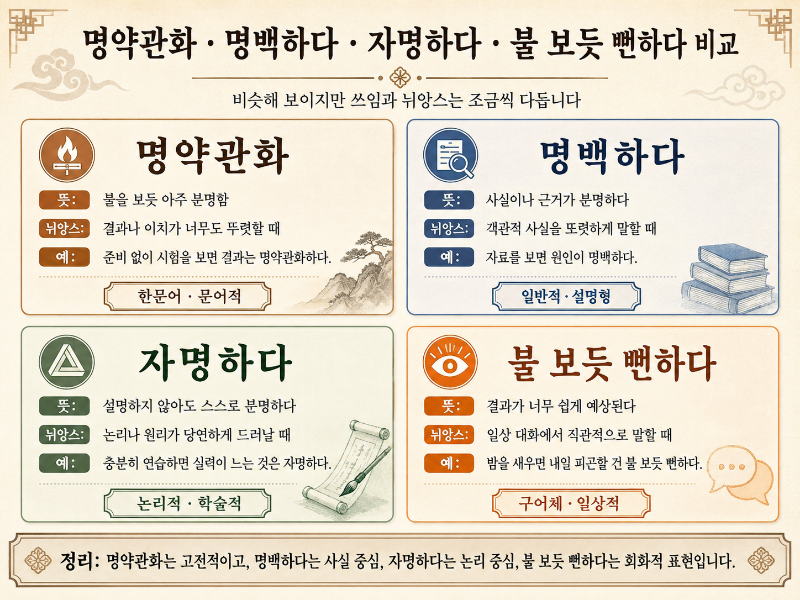 명약관화·명백하다·자명하다·불 보듯 뻔하다 비교 이미지