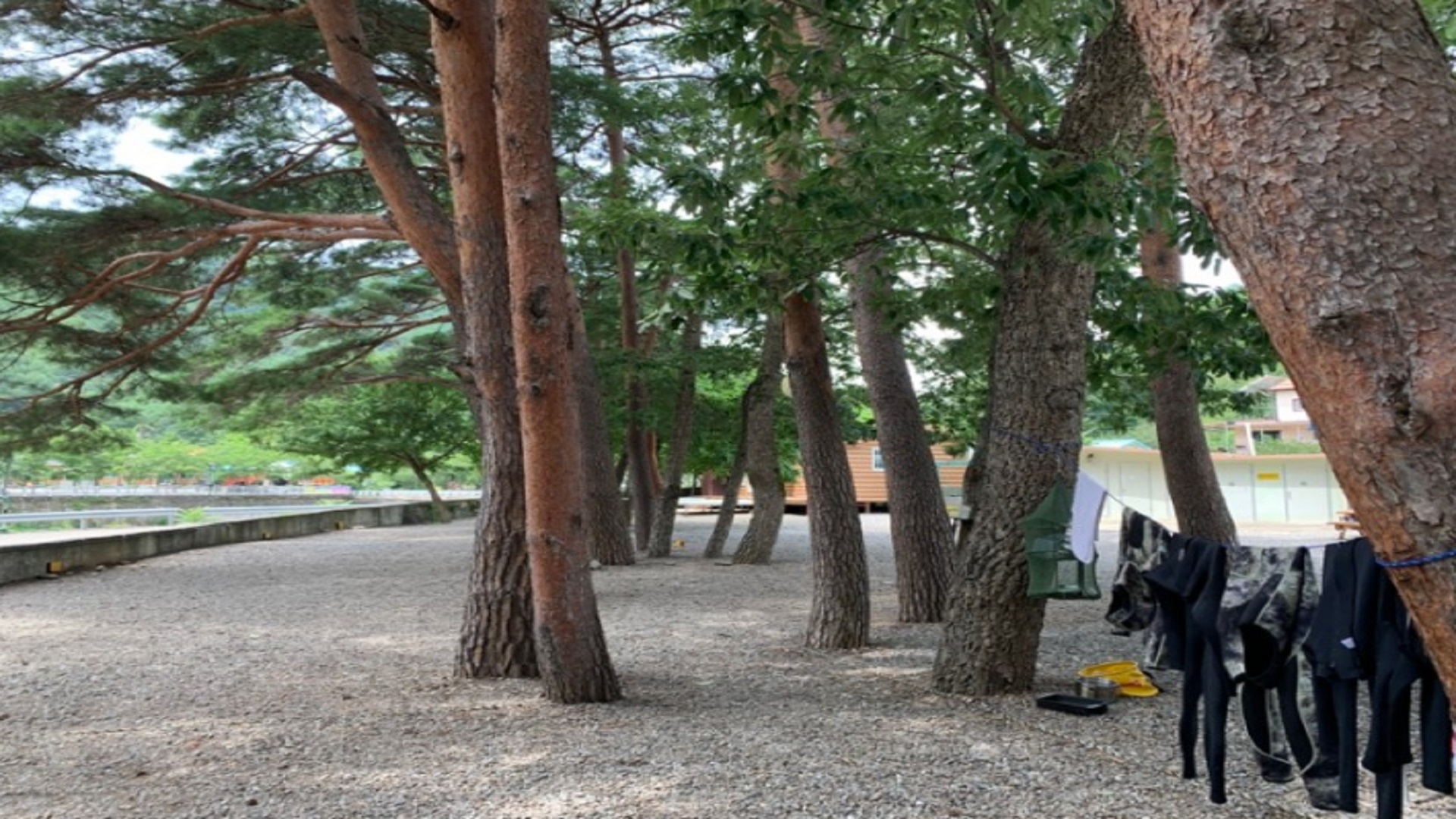 강원도 삼척시 내평 계곡 캠핑장 바로가기