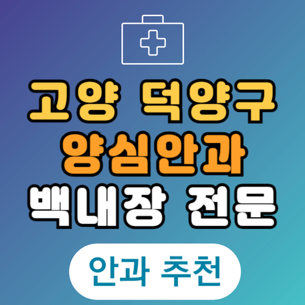 고양 덕양구 백내장 전문 병원 List 수술 잘하는 안과 추천