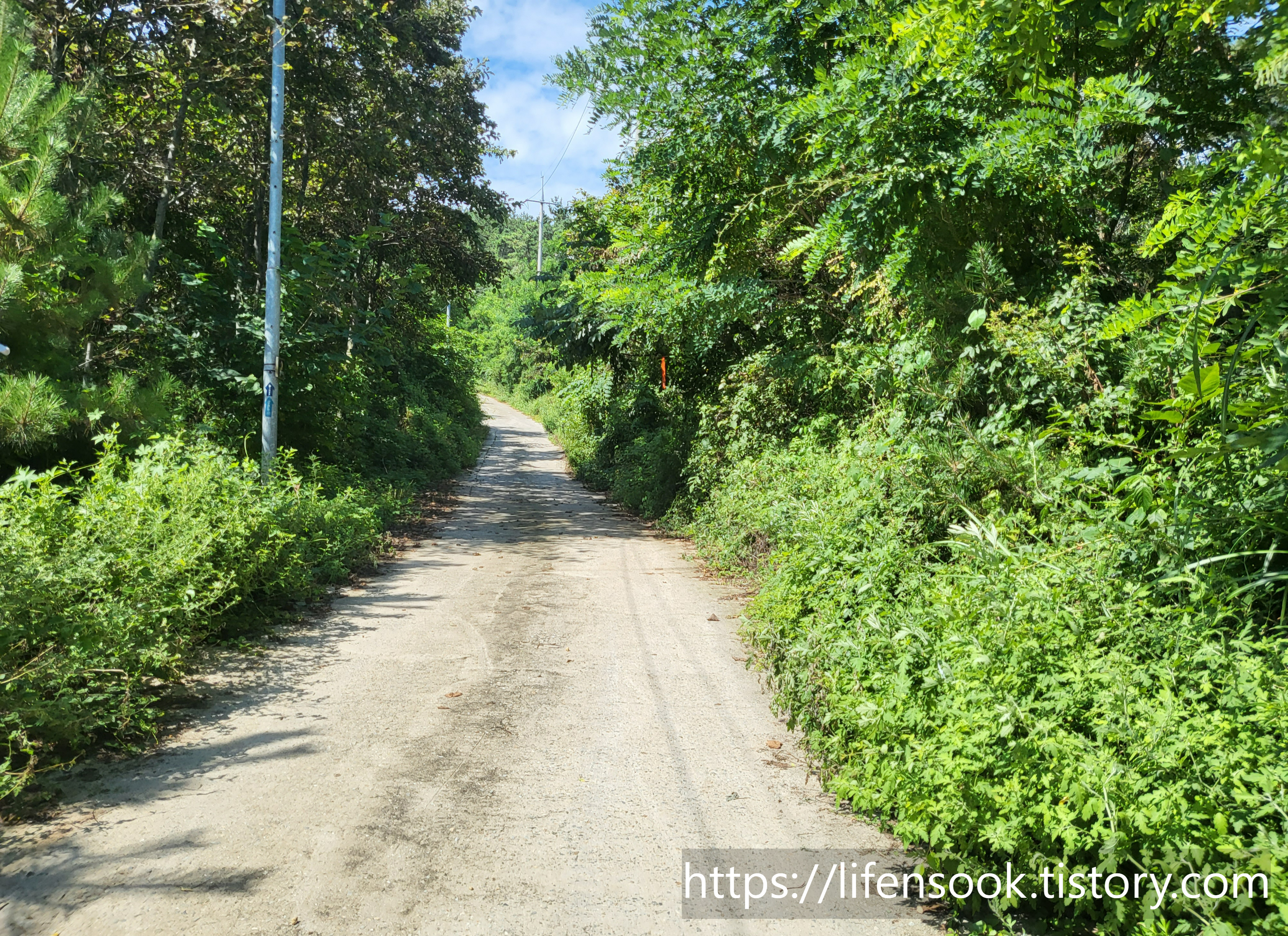 대부해솔길 3코스 주황리본 2