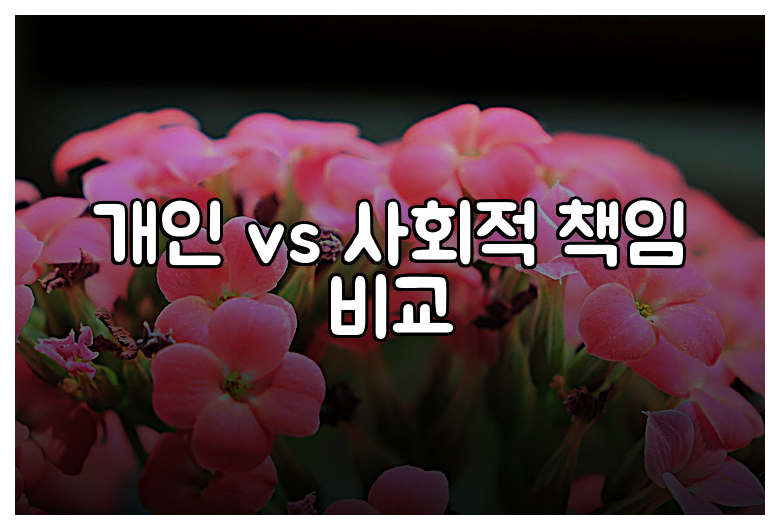 개인 vs 사회적 책임 비교