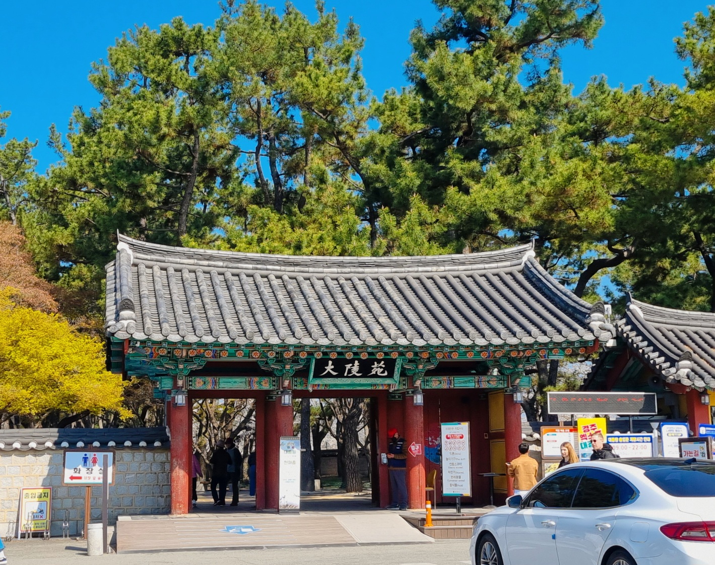 2025년 경주 대릉원 돌담길 벚꽃 축제