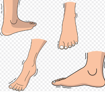 발목 불안정증