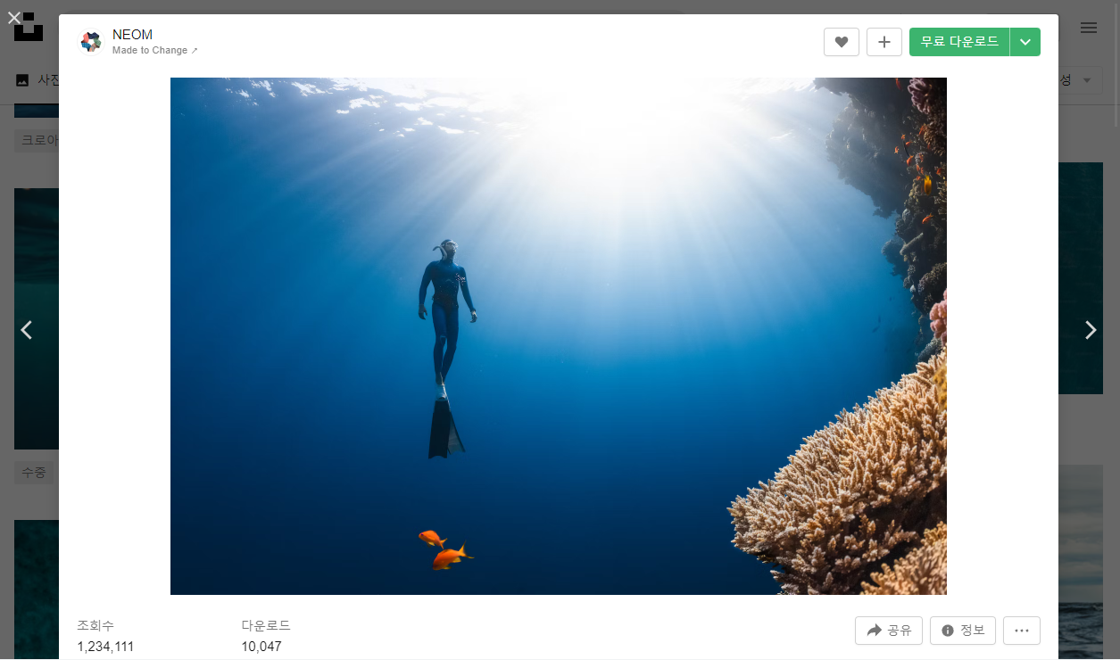 무료 이미지 사이트