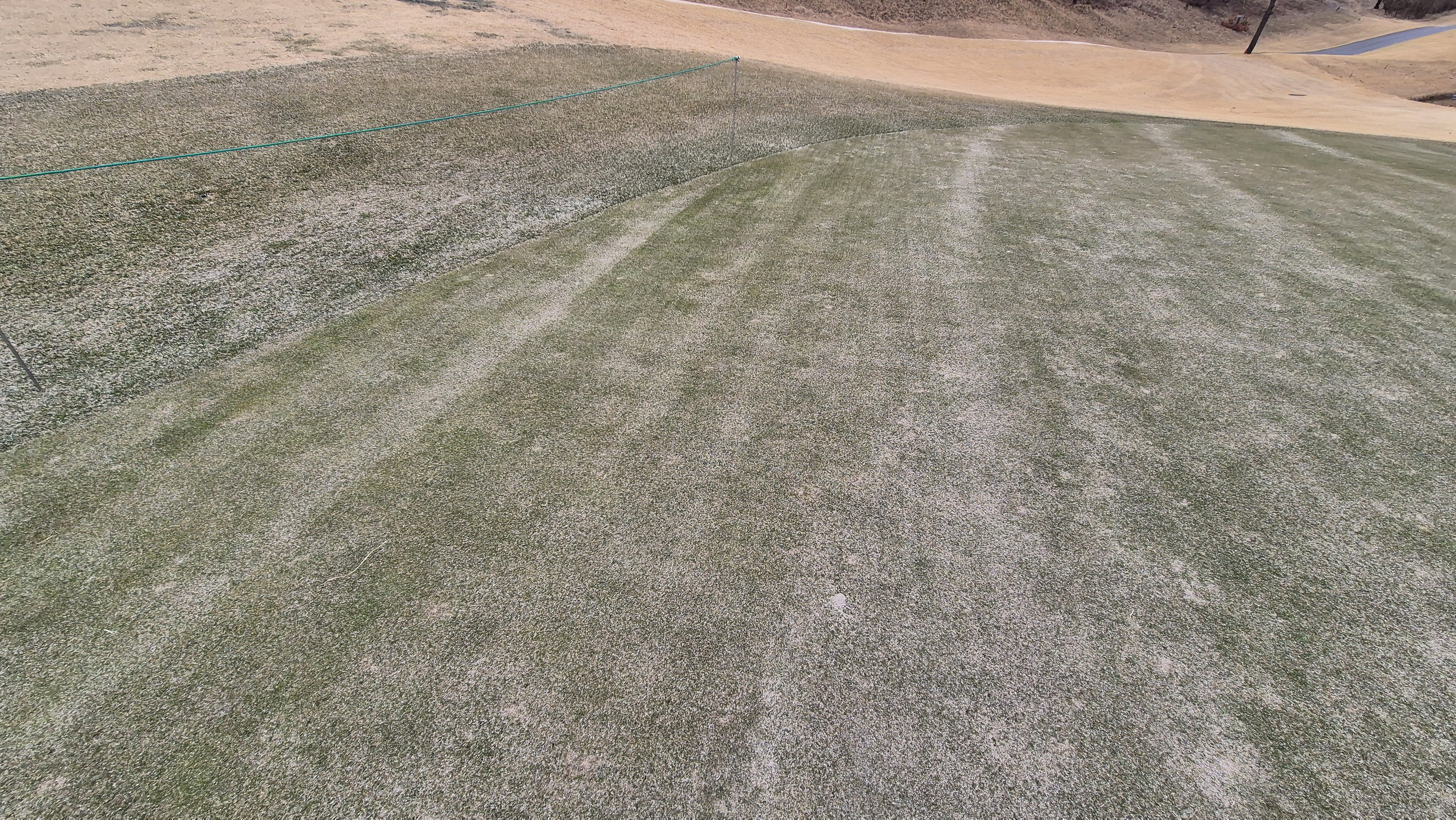 세현cc 그린 관리 상태