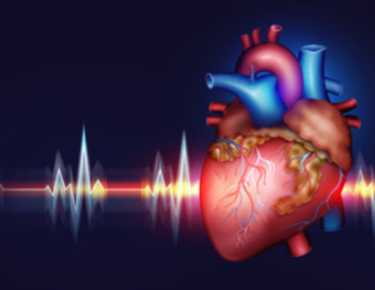 심방세동, 무시하면 큰일 날 수 있는 심장의 비명