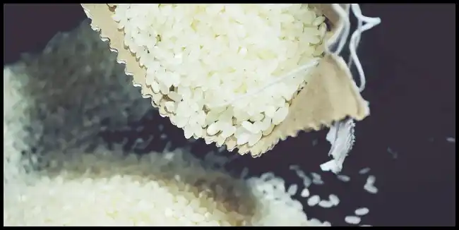 파로 곡물 효능 및 부작용과 먹는 법