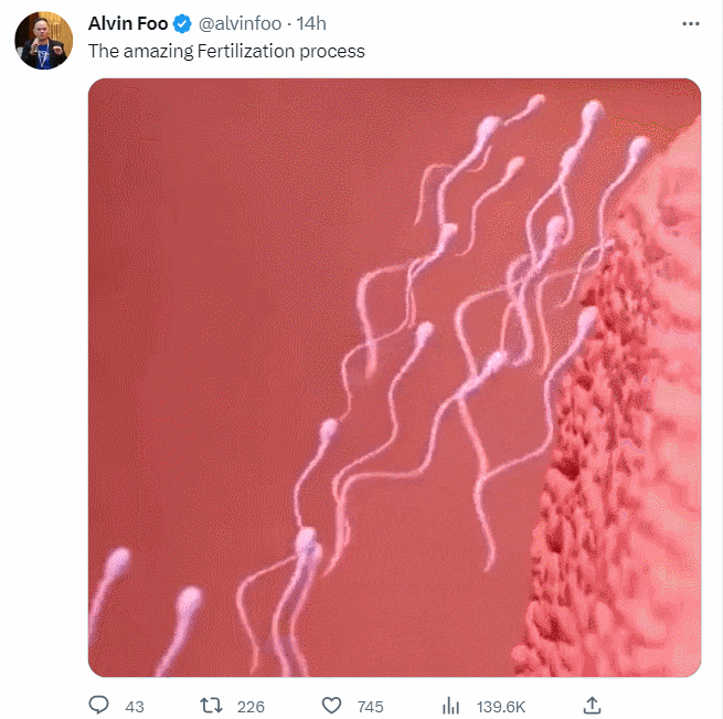 점점 슬럼가로 변해가고 있는 LA ㅣ 수정의 신비 VIDEO: Slumming LA ㅣThe amazing Fertilization process