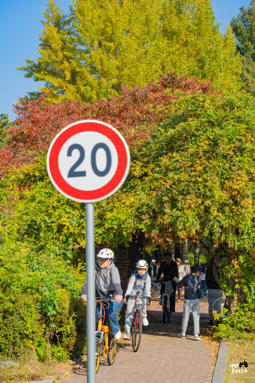 KT&G 춘천 상상마당 산책