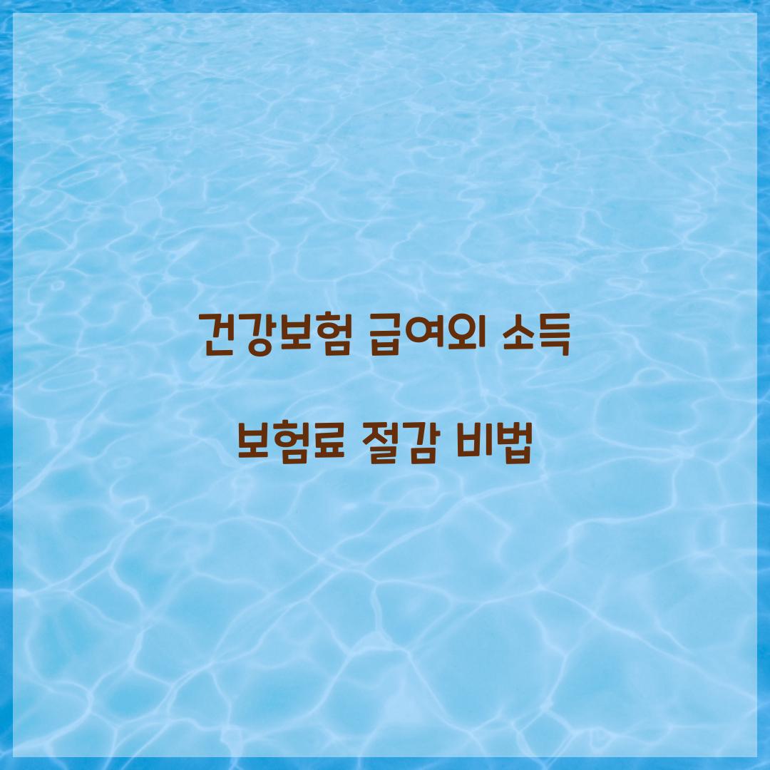 건강보험 급여외 소득 보험료