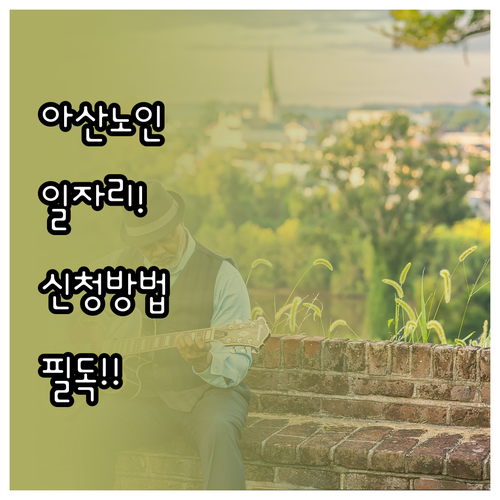 아산시 시니어클럽 시장형 공익형 일자..