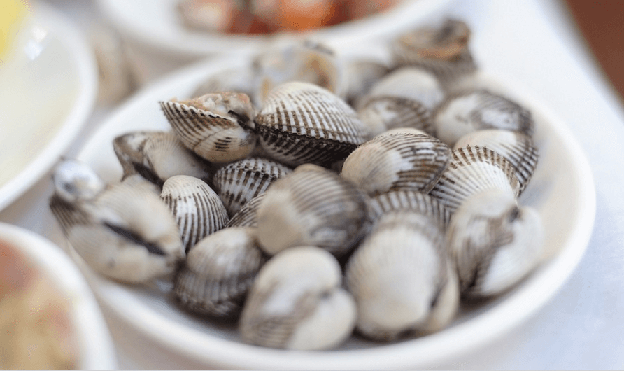 꼬막 효능으로 꼬막이 접시에 담겨 있다